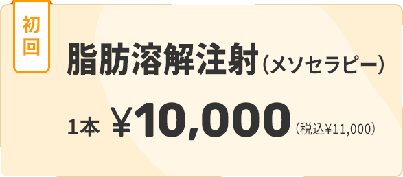 脂肪溶解注射（メソセラピー）