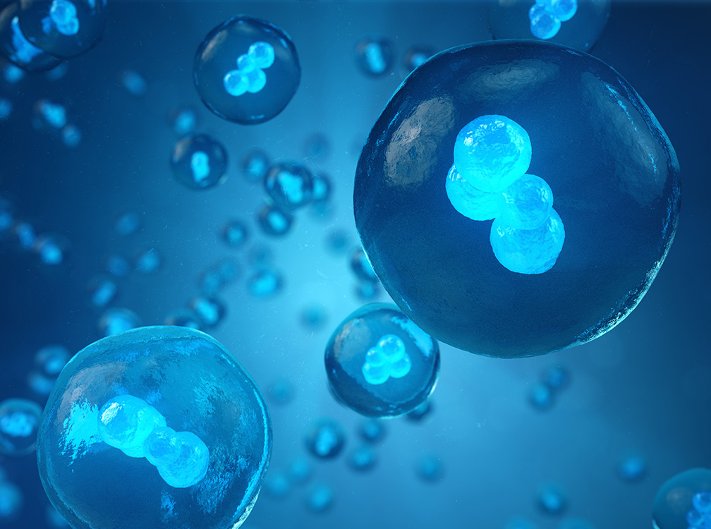 確かな評価者・技術者たちに技術連携を依頼しています