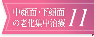 中顔面・下顔面の老化集中治療11