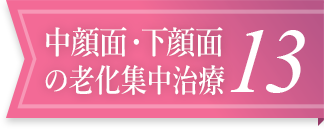 中顔面・下顔面の老化集中治療13