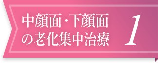 中顔面・下顔面の老化集中治療1