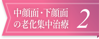 中顔面・下顔面の老化集中治療2