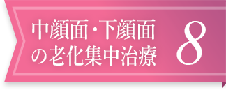 中顔面・下顔面の老化集中治療8
