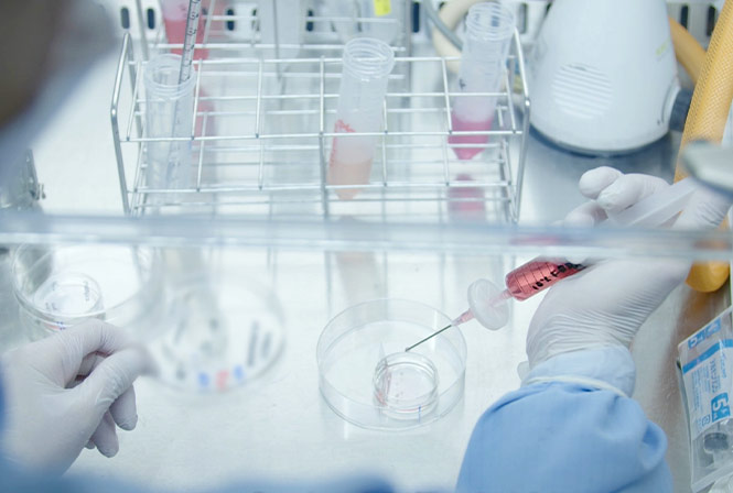 幹細胞治療にデメリットはある?リスクやトラブル回避法について解説します