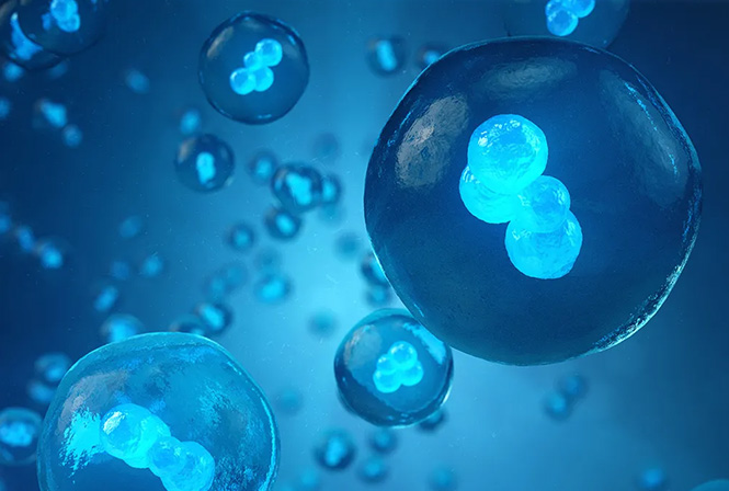 幹細胞治療にはどんな効果があるの? 保険適用の可能性も解説