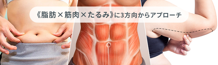 モフィウス8（顔とボディ治療ができるマイクロニードルRF）