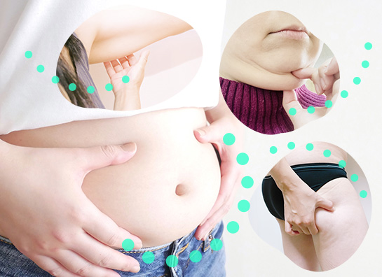 全25部位の脂肪溶解注射